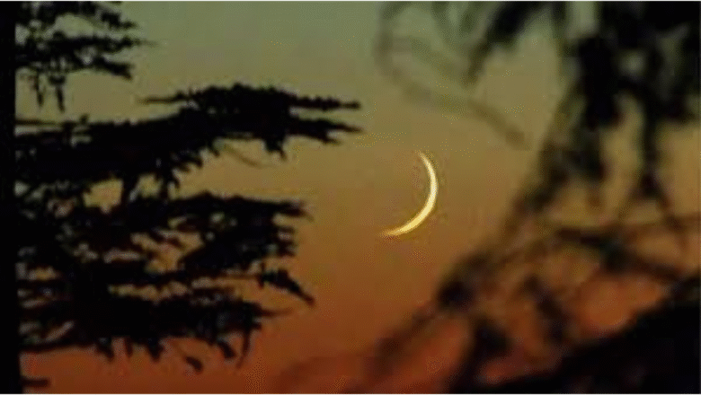 সৌদিতে চাঁদ দেখা গেছে, ঈদুল আজহা ৬ জুন