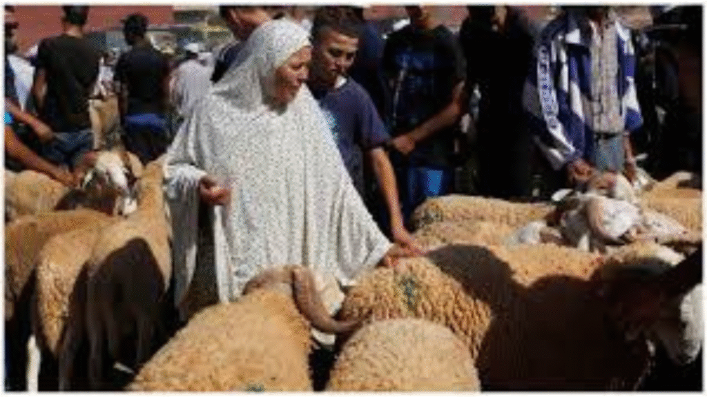 মরক্কোতে এ বছর কোরবানি না দিতে সরকারি আদেশ জারি